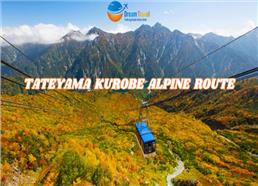 Tour Nhật Bản Mùa Thu Nagoya-Chinh phục Alpine Route-Phú Sĩ-Tokyo